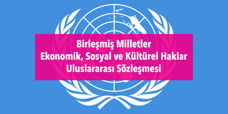 BM Ekonomik, Sosyal ve Kültürel Haklar Uluslararası Sözleşmesi Görsel