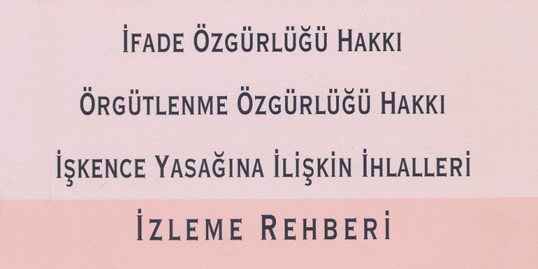 Demokrasi İçin Aktif İzleme Projesi İzleme Rehberi Görsel