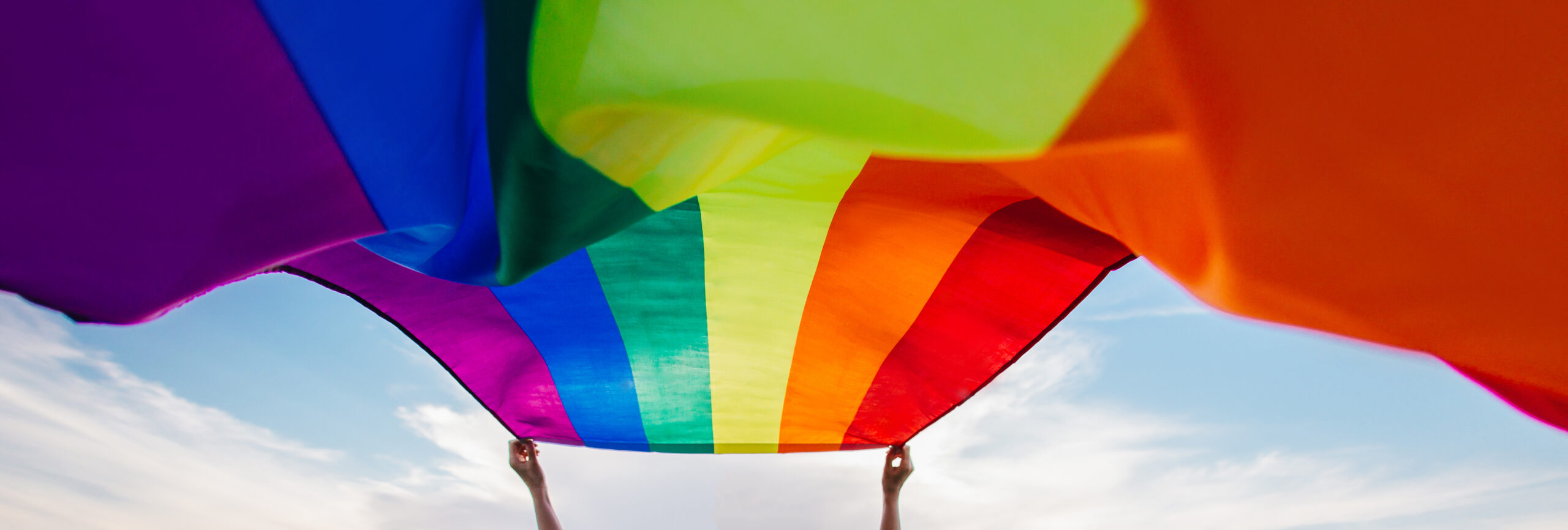LGBTİ+ Örgütlerini ve Hak Savunucularını Kriminalize Etmekten Vazgeçin!